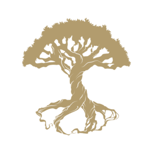 HOIA-logo